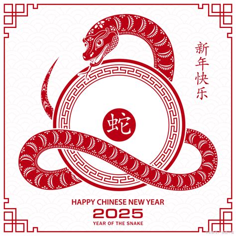 2025 生肖|2025年属什么生肖 2025年的生肖是什么